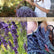 cuccio-naturale-lavender-chamomile-huile-cuticules-gallon-douce image 2